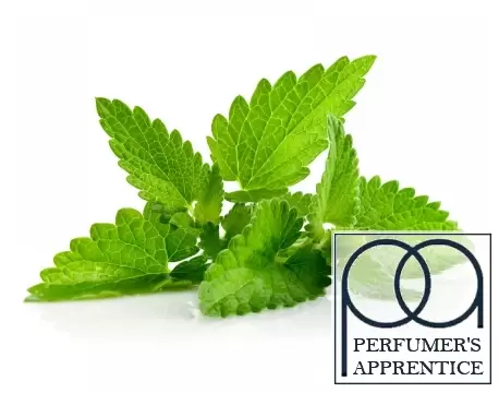 tfa-Spearmint TFA - Spearmint Aroma - Görsel 1